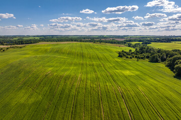 Blue sky background with big white striped clouds in field. blue sky panorama may use for sky replacement