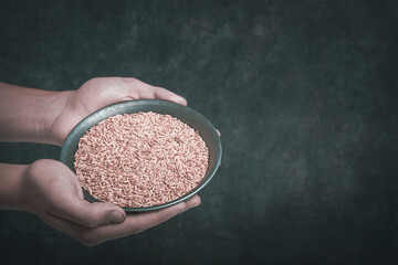 Old plate of grainin hands of male farmer on grunge dark gray old background. Problems with the...