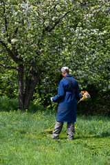 A man mows grass with a trimmer in the garden in spring.