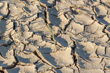 environmental protection, a piece of parched earth because of lack of water