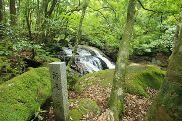 愛媛県松野町　滑床渓谷　河鹿の滝