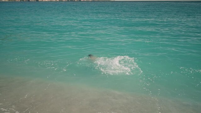 rear view athletic man dives in turquoise water of mediterranean sea in Oludeniz Beach in Aegean Sea and swims. Summer tourist Season Fethiye, Mugla Turkey