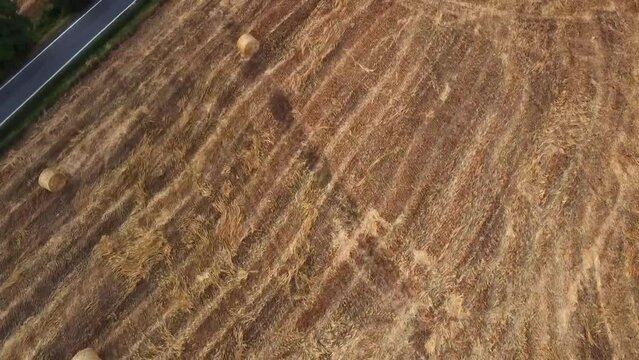 Aerial drone footage on harvested hay bales. Agricultural farm fields in the countryside of Emilia Romagna, Italy. Sun-dried grass collected for the purpose of feeding certain animals. 
