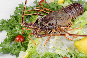 Fresh spiny lobster or sea crayfish with salad, tomatoes and lemon, preparation for cooking common Mediterranean lobster with fresh ingredients on gray background, view from above, close up