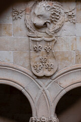 patio de la casa de las Conchas, Salamanca,  comunidad autónoma de Castilla y León, Spain