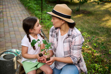 Charming woman and her lovely daughter, holding sprouted seedlings in the hands, enjoying planting plants at eco farm 