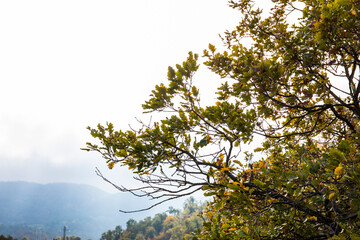 Autumn sunrise in La Vall D En Bas, La Garrotxa, Spain