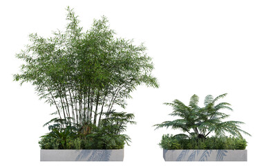 Obraz premium Tropical plant garden in on a white background