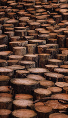 Background from sawn logs in the forest, wood texture, wood background