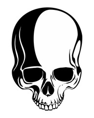 Black and white human skull vector image. Isolated on white background.