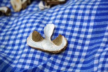 dried boletus edulis mushrooms on the cloth napkin . Mushrooms are peeled and cut into pieces.