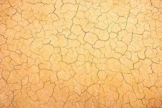 Texture of dried cracked soil