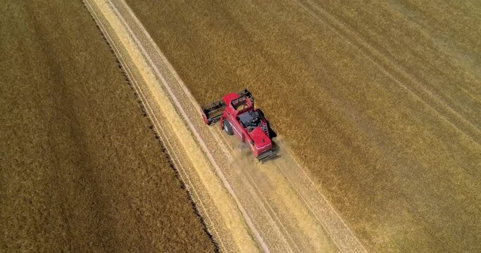 DRONE VIEW OF A WHEAT HARVEST IN FRANCE. Farmers harvesting a wheat field with a tractor and a combine during the summer. July 2022 - Normandy / FRANCE.