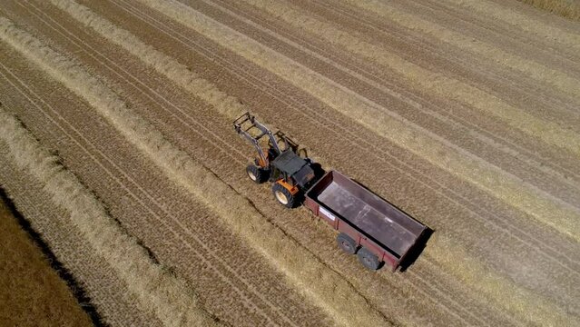 DRONE VIEW OF A WHEAT HARVEST IN FRANCE. Farmers harvesting a wheat field with a tractor and a combine during the summer. July 2022 - Normandy / FRANCE.