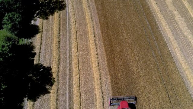 DRONE VIEW OF A WHEAT HARVEST IN FRANCE. Farmers harvesting a wheat field with a tractor and a combine during the summer. July 2022 - Normandy / FRANCE.