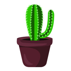 Vector illustration of cactus flowerpot, indoor flower, decorative flower