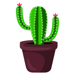 Vector illustration of cactus flowerpot, indoor flower, decorative flower