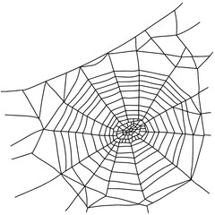 Obraz premium spider web vector illustration isolated on white background in doodle style