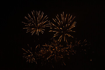 Fireworks exploding against black background
