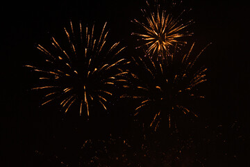 Fireworks exploding against black background