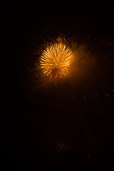 Fototapeta premium Fireworks exploding against black background