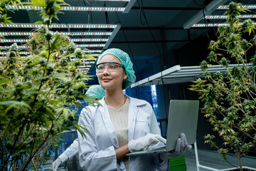 Portrait of a female scientist examining cannabis in a greenhouse. Concept of alternative herbal...