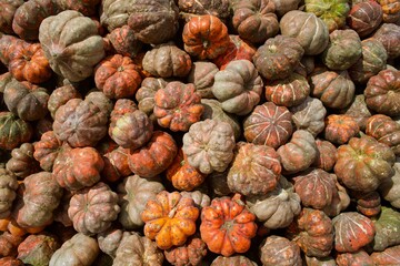 mini pumpkin mini calabaza