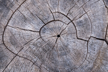 cracked wood board timber,Wooden wall background or texture