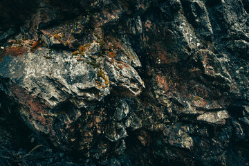 un bloc de roche dans les gorge de la Canche dans le morvan - obrazy, fototapety, plakaty