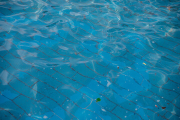 Background and texture. Ripples on clear water. Floating small debris and leaves. One of the ceramic blue tiles. Cleaning the pool.