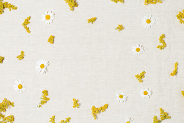 Stylish botanical frame with field flowers, flowery background, copy space. Blooming bedstraw flower and daisy, medicinal herbs, aromatic wild blooms. Nature design botanical flat lay