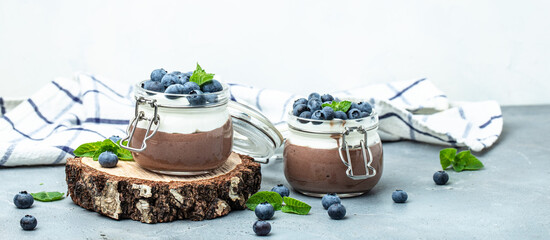 Chocolate panna cotta with blueberries. Chocolate pudding and greek yogurt parfait. Long banner format