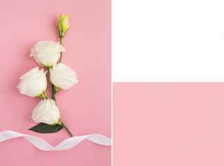 Beautiful white flowers on the pink background, white and pink template for text. Collage. Copy space.