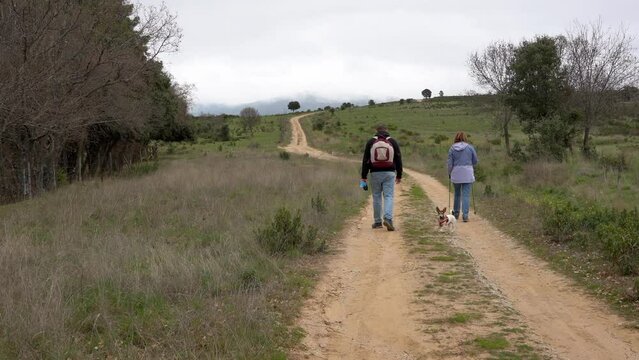 Couple of people walking along a country road with their small dog jack Russell.