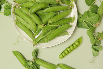 Freshly harvested organic green peas on the table	