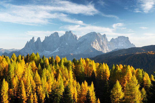 Incredible autumn view at Valfreda valley in Italian Dolomite Alps. Yellow and orange larches forest and snowy mountains peaks on background. Dolomites, Italy. Landscape photography