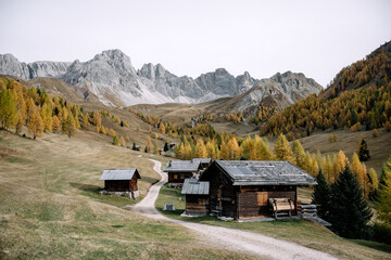 Incredible autumn view at Valfreda valley in Italian Dolomite Alps. Wooden cabins, yellow grass, orange larches forest and snowy mountains peaks on background. Dolomites, Italy. Landscape photography