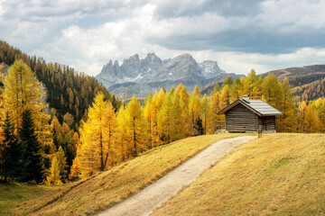 Incredible autumn view at Valfreda valley in Italian Dolomite Alps. Wooden cabin, yellow grass,...