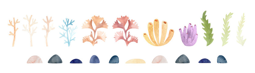 Watercolor corals illustration. Cute baby animal underwater graphics. Seaweed and corals hand-drawn, sea animal, fish. Ocean children illustration