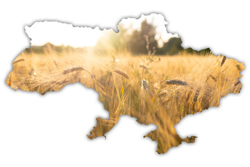 Political map of Ukraine laid out with grain of wheat on the background of the Ukrainian flag....