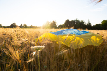 Flag of Ukraine is blue-yellow lying on ripe wheat. Yellow wheat field in Ukraine. Independence Day...