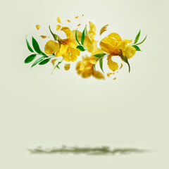 Yellow flying irises flowers with green leaves at pastel background with shadow. Creative floral levitation concept with bright petals and blooms. Front view.