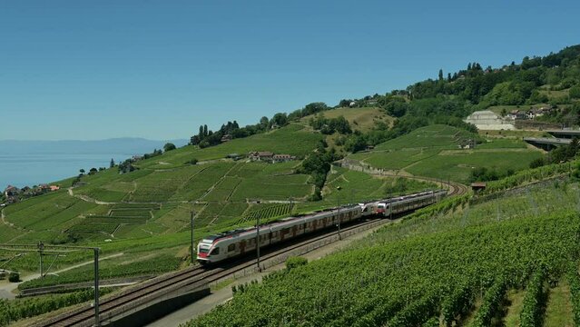 Train in the vineyard. Train Travels On Railway Curve Through Lavaux Vineyard Terraces, Grandvaux, Vaud Canton, Switzerland. UNESCO world heritage site.