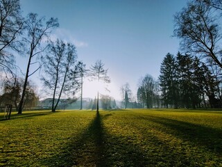 Obraz premium Autumn colorful leaves on the ground and on the trees. Slovakia