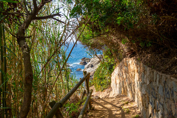 A narrow hilly walking path on the Cami de Ronda, Cala Banys gardens and trail in the Spanish...