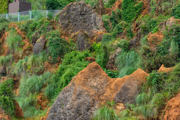 Brown Bear in Cabarceno Nature Park, Cantabria, Spain.