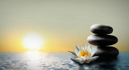 Fototapeta na wymiar Zen, meditation, harmony. Beautiful lotus flower and stack of stones on water surface, space for text