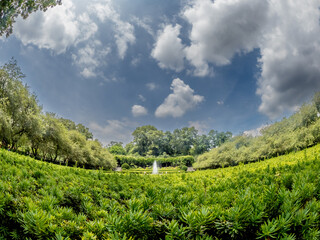 Fisheye View of a Formal Garden