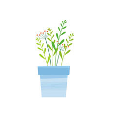 Plant Design Very Cool