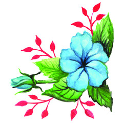 hand drawn illustration blue rose